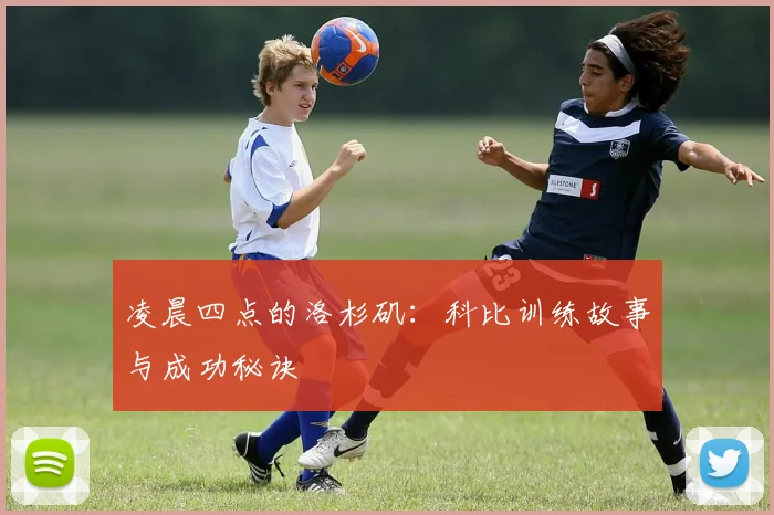 凌晨四点的洛杉矶:科比训练故事与成功秘诀