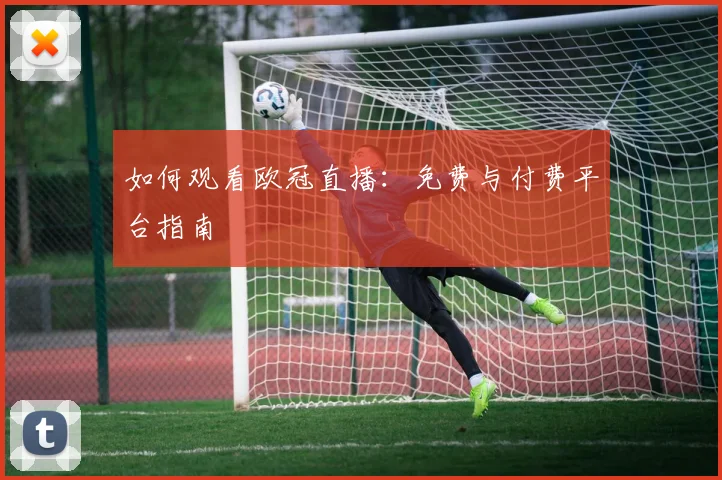 如何观看欧冠直播：免费与付费平台指南